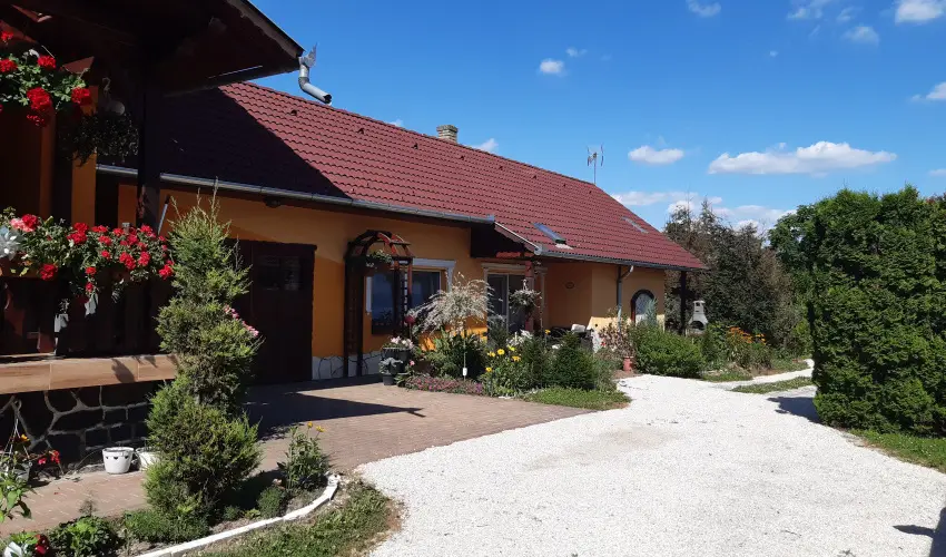 Andrea Vendghz Kehidakustny