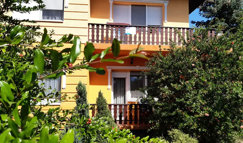 Andrea Vendghz Kehidakustny