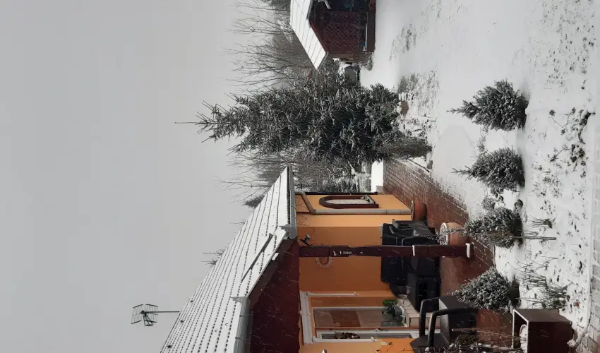 Andrea Vendghz Kehidakustny