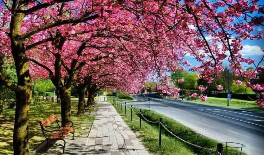 Arany Apartmanhz Zalagyngye  Zalakaros