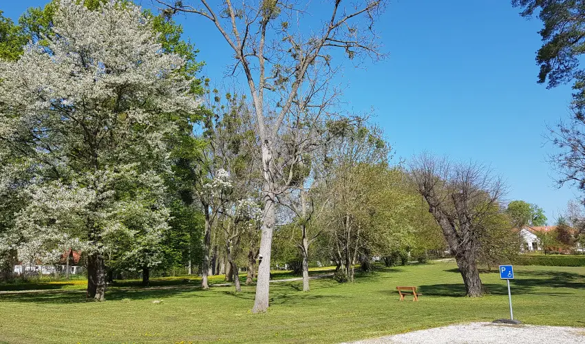 Batthyny Kria Zalacsny