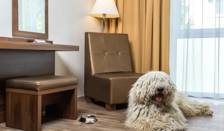 Bonvital Wellness & Gastro Hotel Hvz Hvz