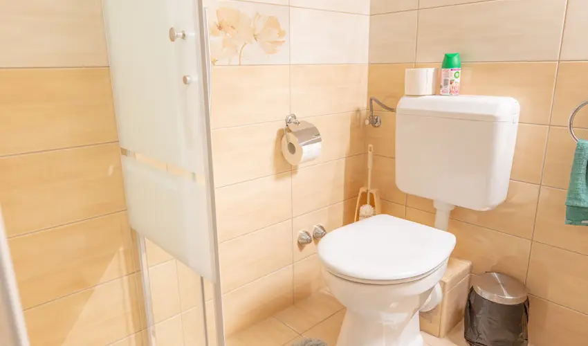 Borb�la Vend�gh�z Gyenesdi�s