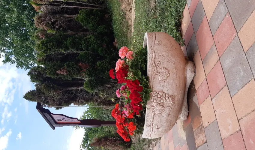 Difa Vendghz Kehidakustny