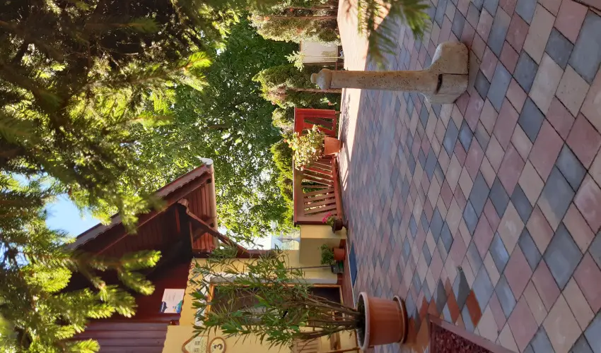 Difa Vendghz Kehidakustny