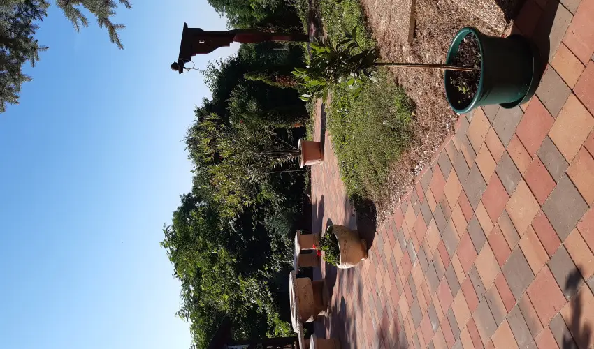 Difa Vendghz Kehidakustny