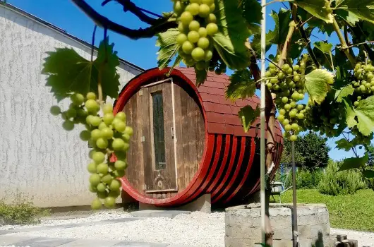 �lm�ny Vend�gh�z, Csurg�, Zalakaros - 26 km