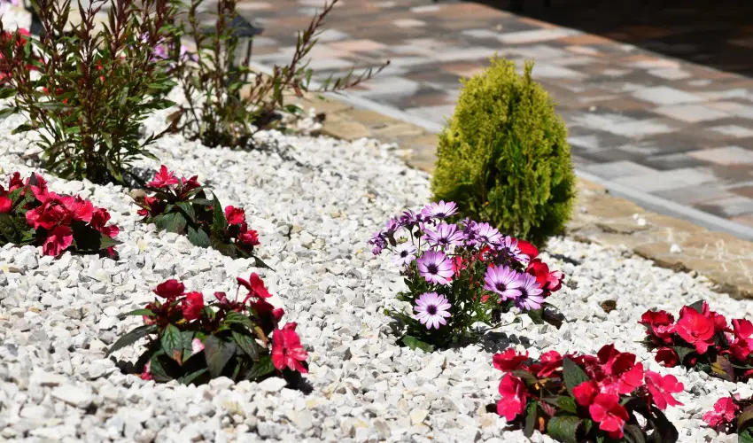 Hotel Forrás Zalakaros Zalakaros