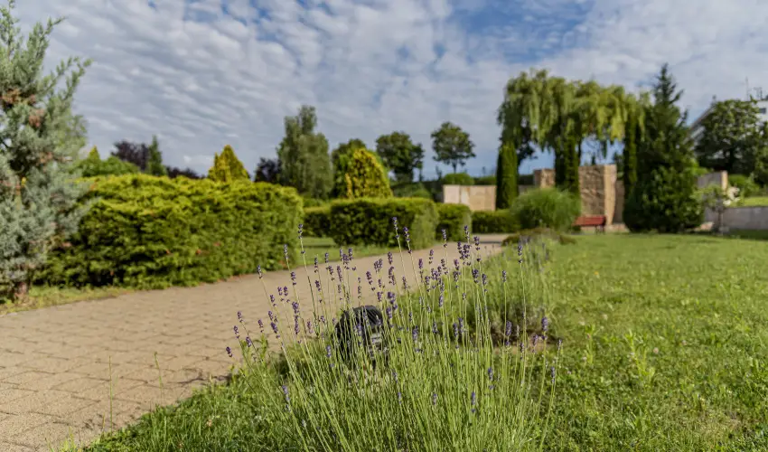 Hotel Karos Spa Zalakaros