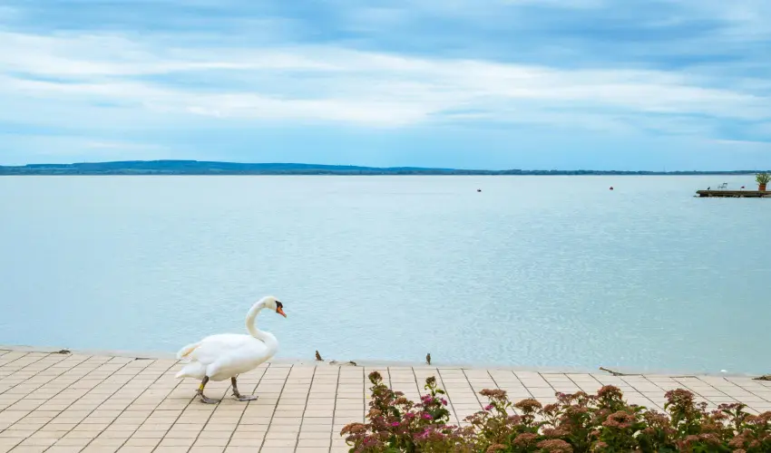 Hotel Ovit Keszthely