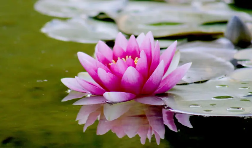 Hotel Ovit Keszthely