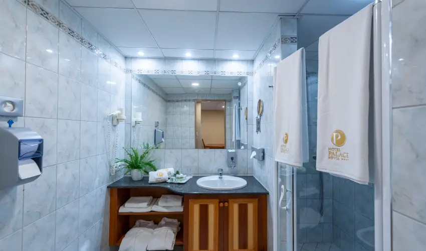 Palace Hotel  H�v�z