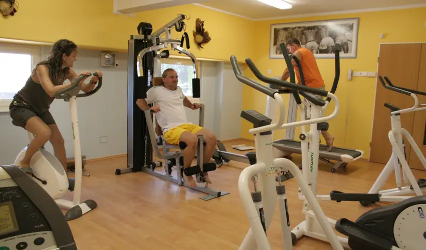 Hotel Panorma Balatongyrk Balatongyrk