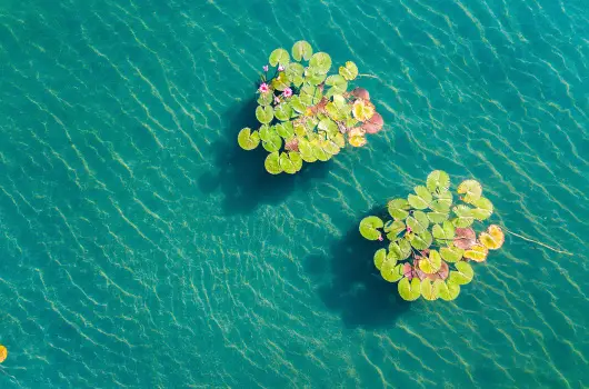 Hunguest Hotel Panor�ma, H�v�z, Zalakaros - 21 km