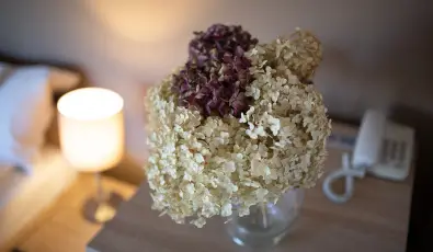 Zsanett Hotel Balatonkeresztr