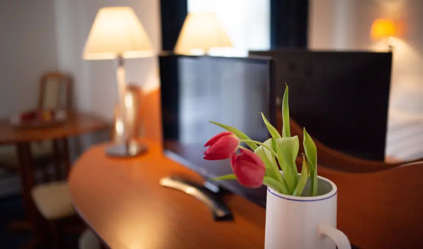 Zsanett Hotel Balatonkeresztr