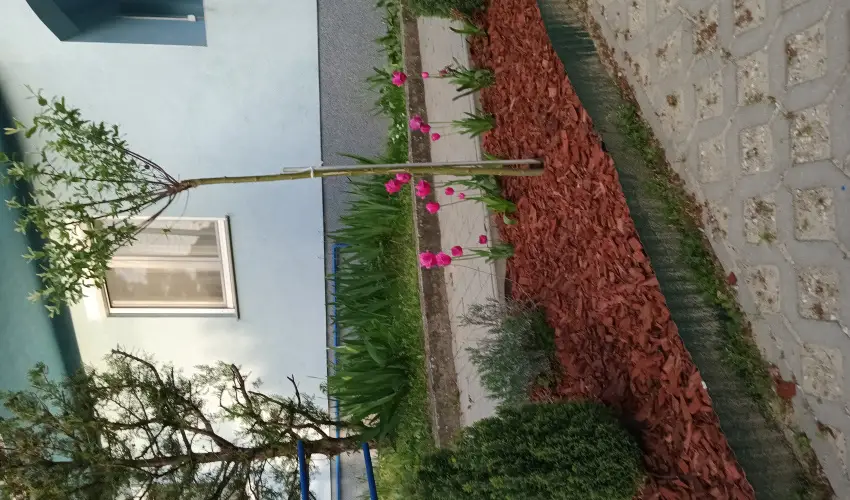 Liliom Apartman Zalakaros