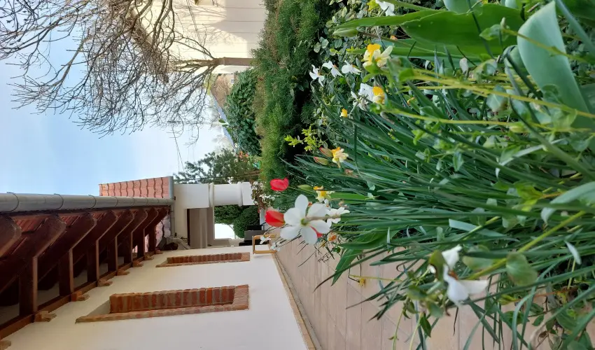 Ngy vszak Apartmanhz Zalakaros Zalakaros