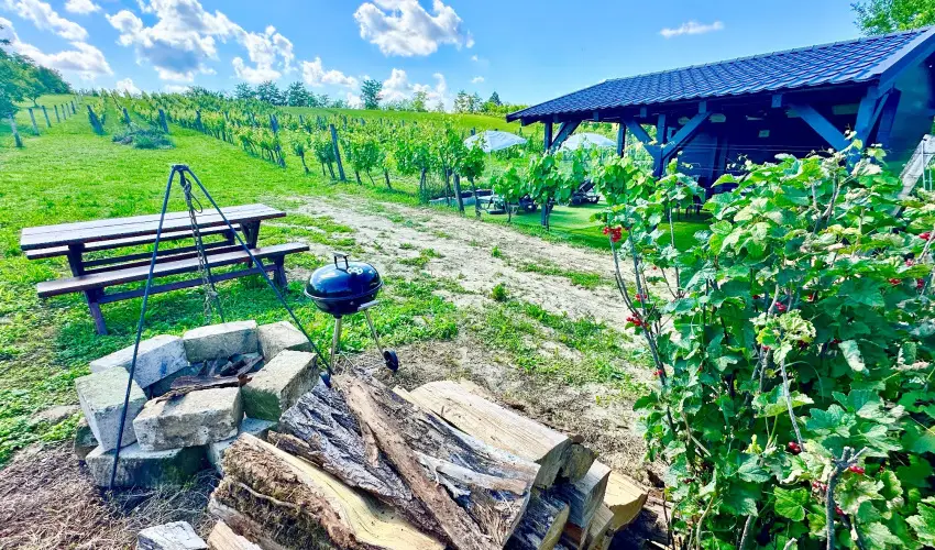 Szent Orb�n Panzi� Zalakaros - Kutyabar�t apartmanok Zalakaros