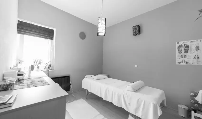 Pelso Panzi� Balatonm�riaf�rd�