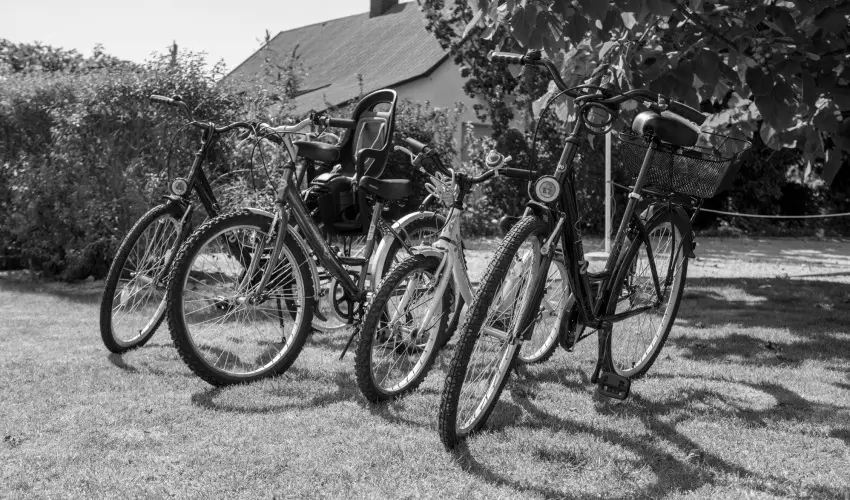 Pelso Panzi� Balatonm�riaf�rd�