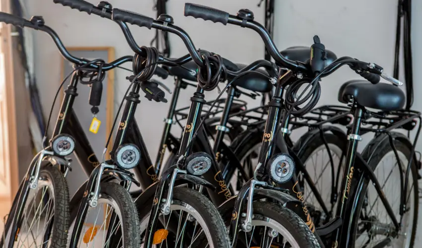 Pelso Panzi Balatonmriafrd