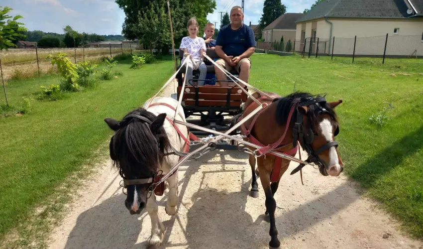 Póni Kuckó Vendégház és Minifarm  Hosszúvölgy