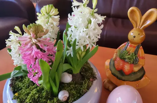 Belenus Thermalhotel Superior, Zalakaros