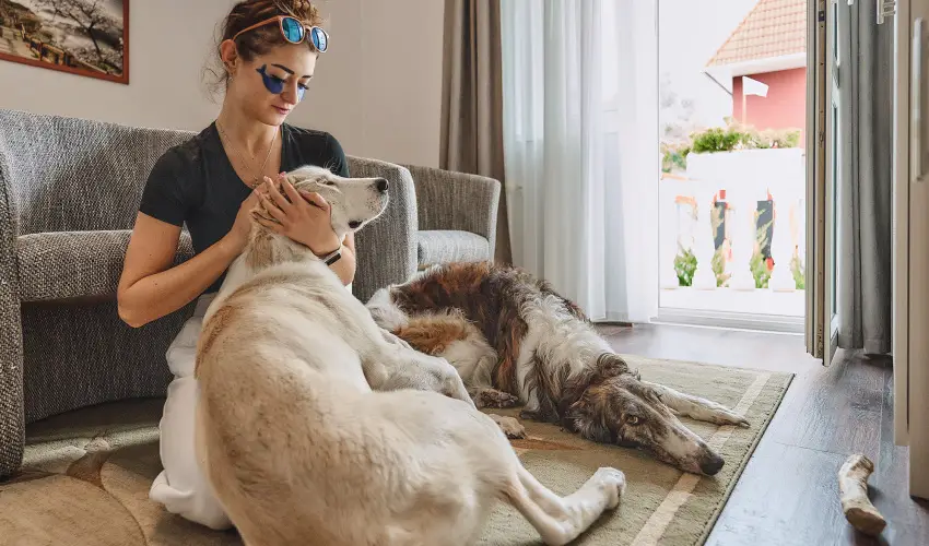 Tokajer Wellness Panzi� Keszthely