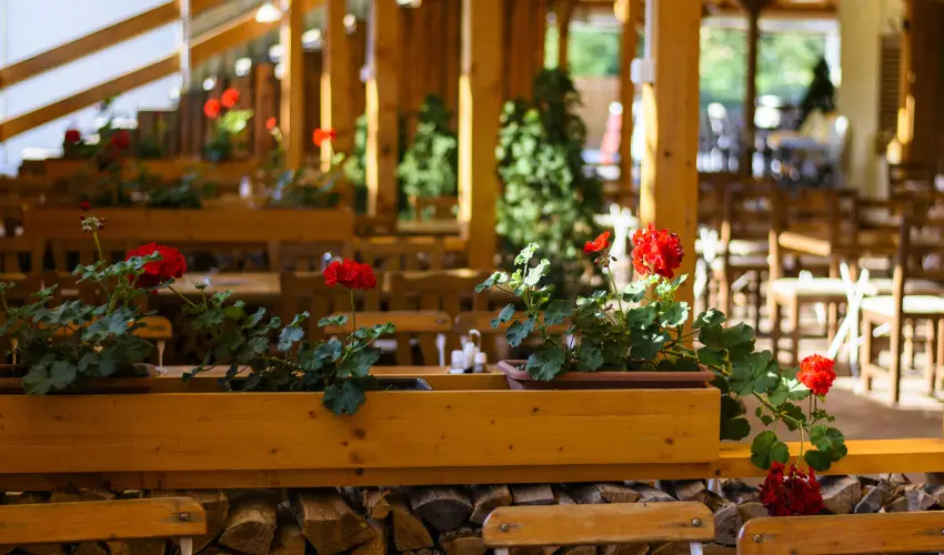 Viktor Bor- s Vendghz Balatonmriafrd