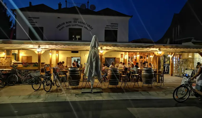 Viktor Bor- s Vendghz Balatonmriafrd