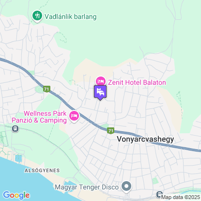 Zenit Hotel Balaton a trkpen